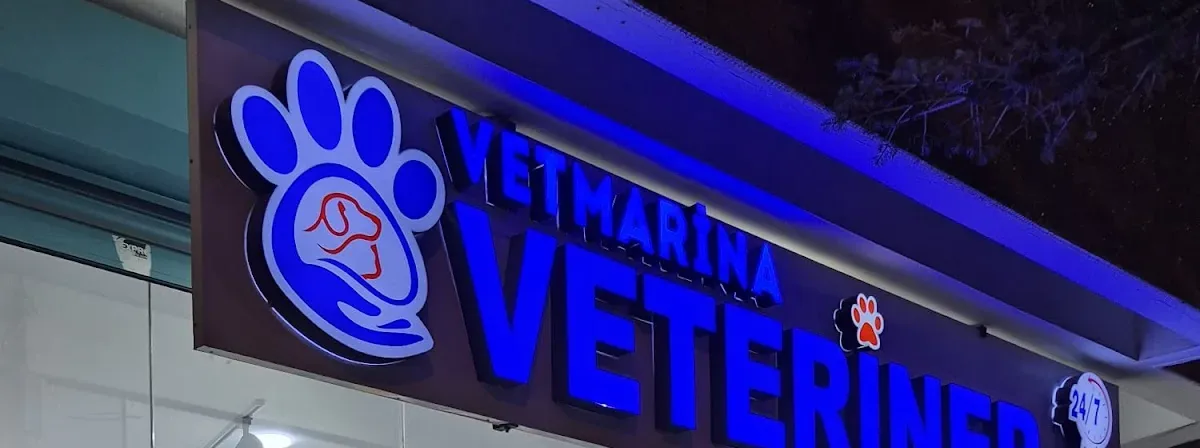 Vetmarina mavi ışıklı tabela
